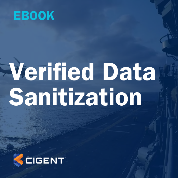 Verified Data Sanitization