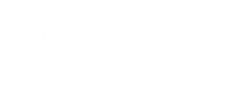 Advanced Firmware Capabilities for Data Security | Cigent